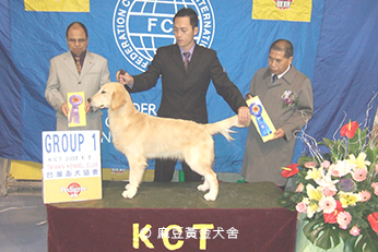 2007麻豆黃金犬舍